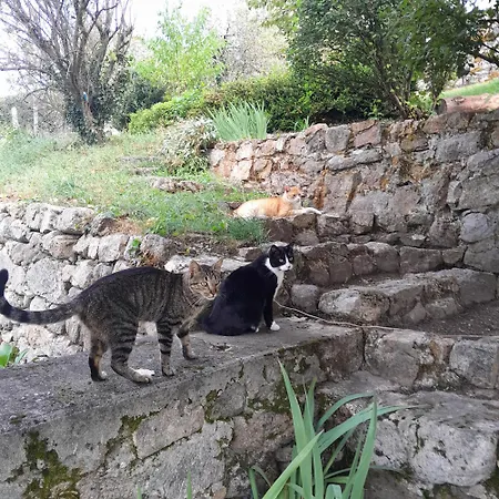 Mandra Chez Que Canta Saint-Julien-Vocance